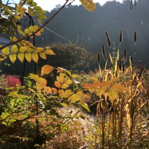秋の景色