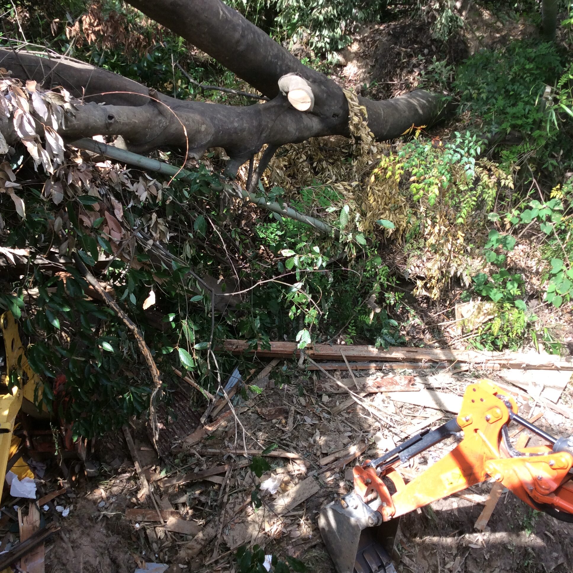 土砂災害の後の写真